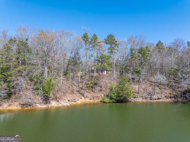 182 Cherry Rose Ln, Hartwell, GA 30643 - water view
