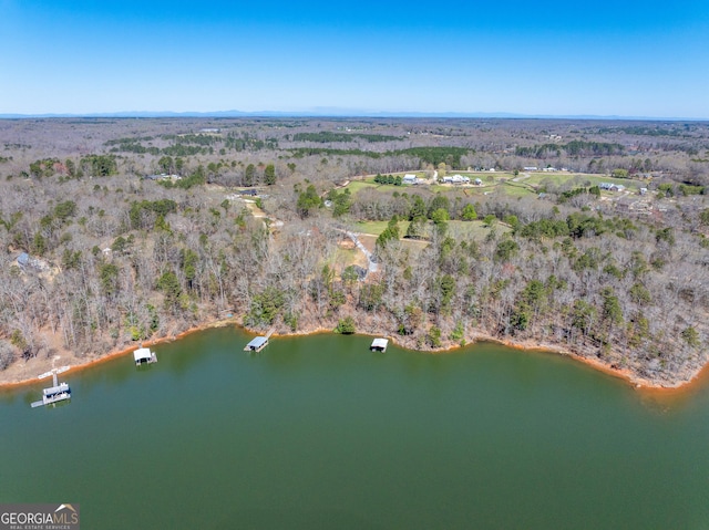 182 Cherry Rose Ln, Hartwell, GA 30643 - aerial overview of property's location featuring a nearby body of water and a forest
