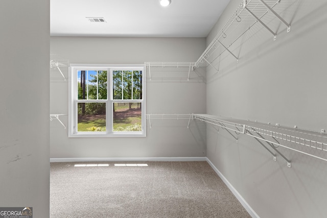 74 Riverwood Trl, Grantville, GA 30220 - spacious closet featuring carpet