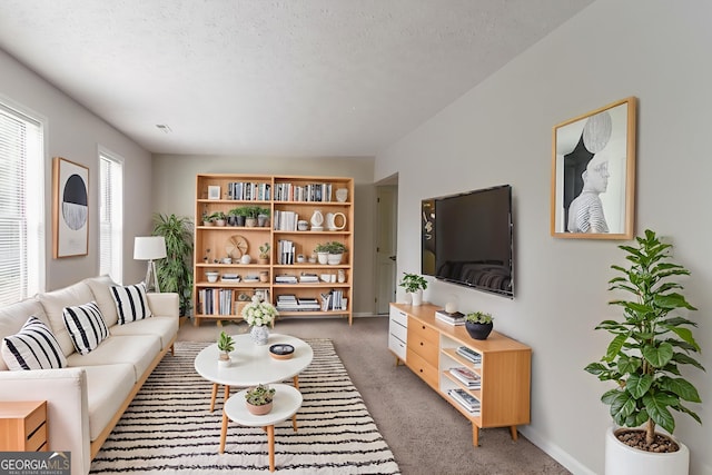 3851 Natalie Way, Ellenwood, GA 30294 - living room featuring light colored carpet and a textured ceiling