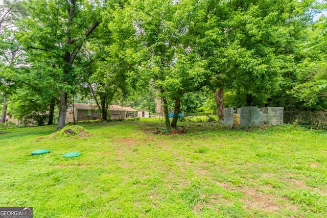 4078 Bouldercrest Rd, Ellenwood, GA 30294 - view of yard