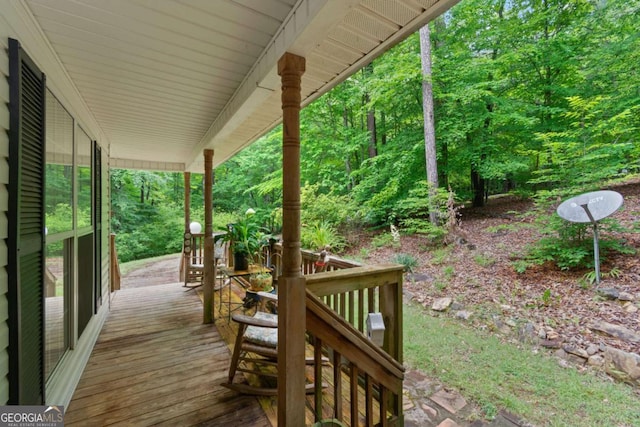 345 Jesse Martin Trl, Canton, GA 30115 - view of porch