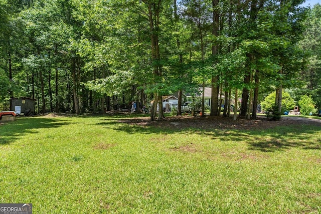 3775 Tommy Lee Cook Rd, Newnan, GA 30263 - view of grassy yard