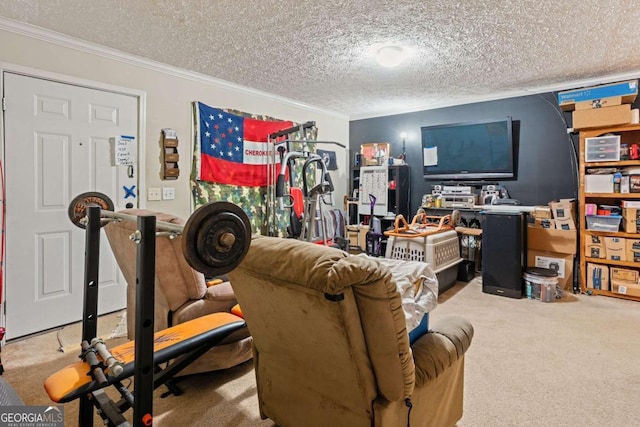 3775 Tommy Lee Cook Rd, Newnan, GA 30263 - carpeted living area with crown molding and a textured ceiling