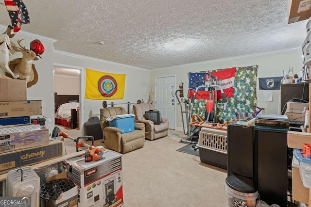 3775 Tommy Lee Cook Rd, Newnan, GA 30263 - office featuring crown molding, a textured ceiling, and carpet flooring