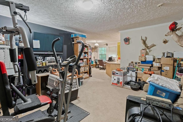 3775 Tommy Lee Cook Rd, Newnan, GA 30263 - exercise room with a textured ceiling, crown molding, and carpet floors