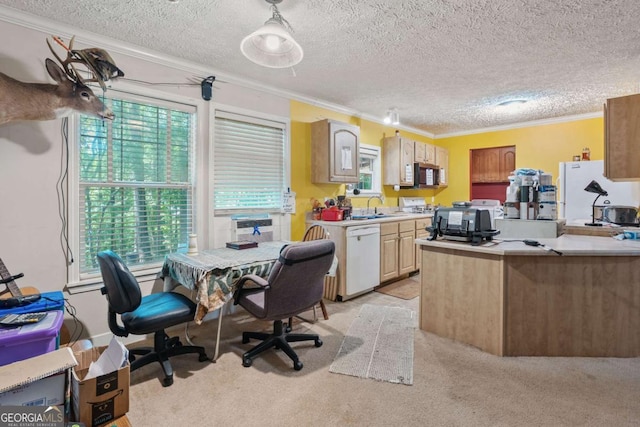 3775 Tommy Lee Cook Rd, Newnan, GA 30263 - office space with crown molding, a sink, plenty of natural light, light colored carpet, and a textured ceiling