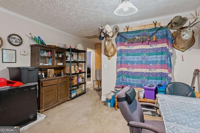3775 Tommy Lee Cook Rd, Newnan, GA 30263 - office area with light colored carpet, ornamental molding, and a textured ceiling