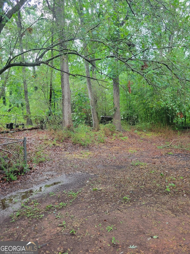106 Garden Trl, Stockbridge, GA 30281 - view of wooded area