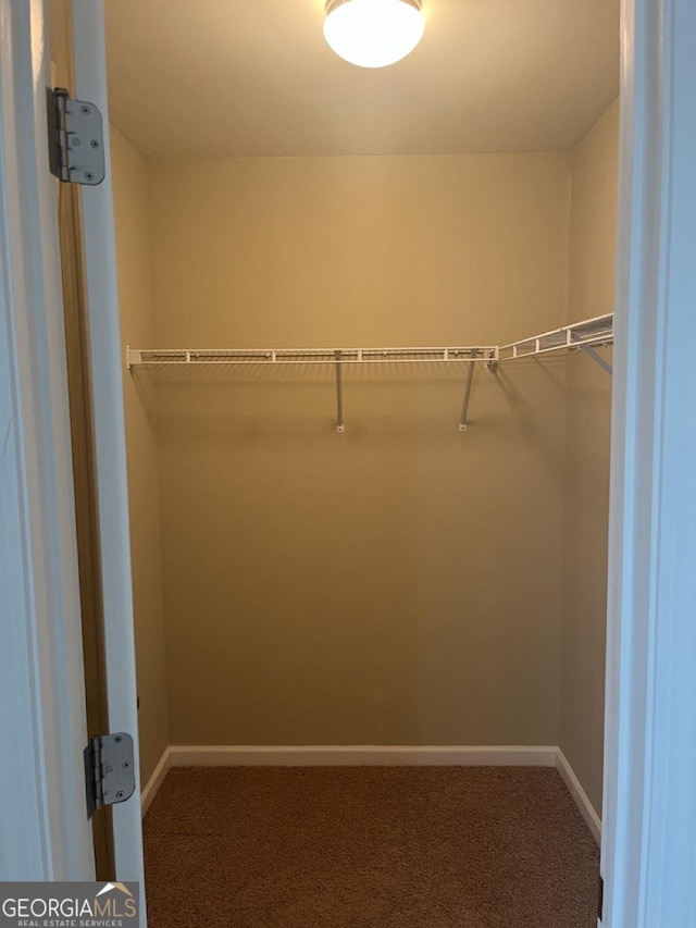 901 Broderick Cir, Warner Robins, GA 31088 - walk in closet with carpet flooring
