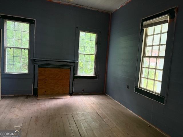 9610 Ga Highway 242, Harrison, GA 31035 - unfurnished room featuring hardwood / wood-style flooring and plenty of natural light