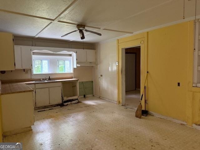 9610 Ga Highway 242, Harrison, GA 31035 - kitchen with ceiling fan, a sink, white cabinetry, and under cabinet range hood