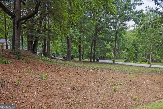 5666 Fawn Dr, Powder Springs, GA 30127 - view of yard