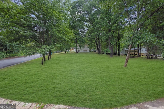 5666 Fawn Dr, Powder Springs, GA 30127 - view of green lawn