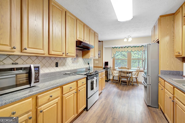 9706 Holly Hill Way, Jonesboro, GA 30238 - kitchen with stainless steel appliances, a textured ceiling, light wood-style flooring, decorative backsplash, and under cabinet range hood
