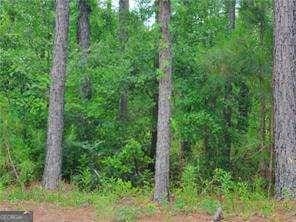 352 Hicks Rd, Dawson, GA 39842 - view of woods