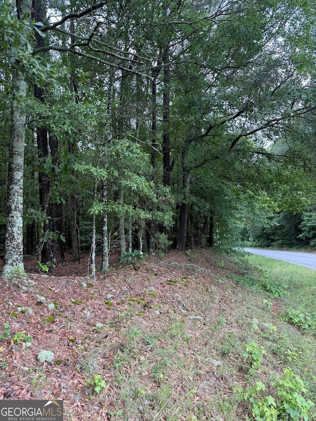 3021 Lawton Ln, Athens, GA 30601