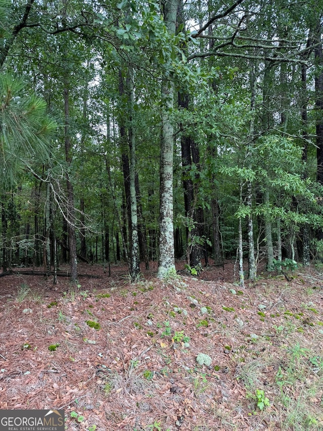 3021 Lawton Ln, Athens, GA 30601