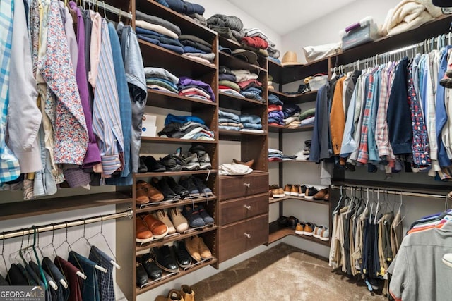 175 Stoneledge Trce N, Jasper, GA 30143 - spacious closet featuring carpet floors