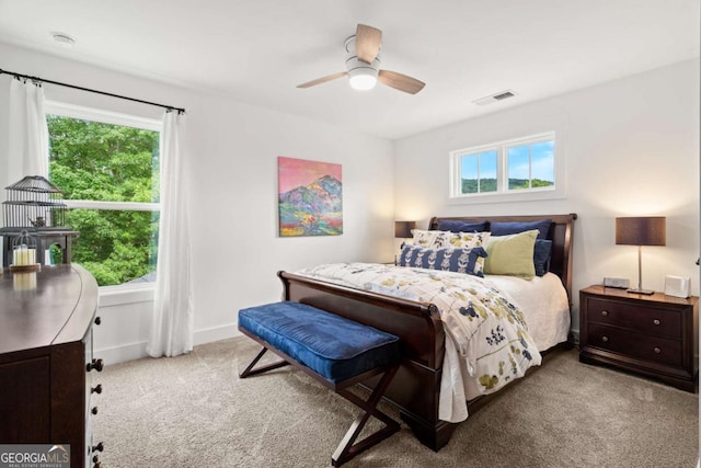175 Stoneledge Trce N, Jasper, GA 30143 - carpeted bedroom with multiple windows, a ceiling fan, and baseboards