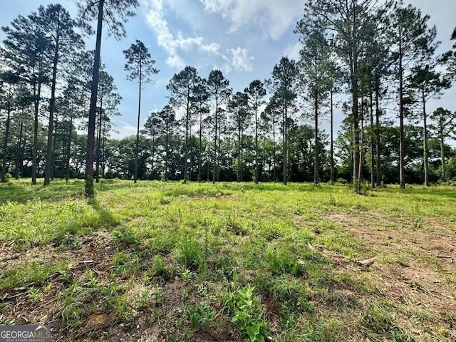 1231 Whipples Crossing Rd, Dudley, GA 31022 - view of undeveloped land