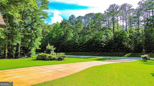 6830 Peeksville Rd, Mcdonough, GA 30252 - view of community with a lawn