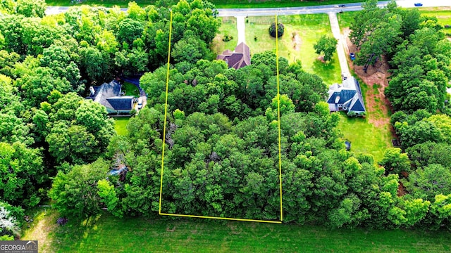 6830 Peeksville Rd, Mcdonough, GA 30252 - aerial view of property and surrounding area with property parcel outlined