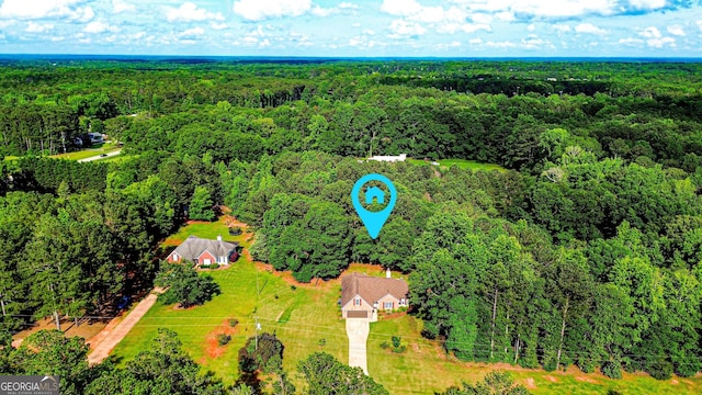 6830 Peeksville Rd, Mcdonough, GA 30252 - bird's eye view of a forest
