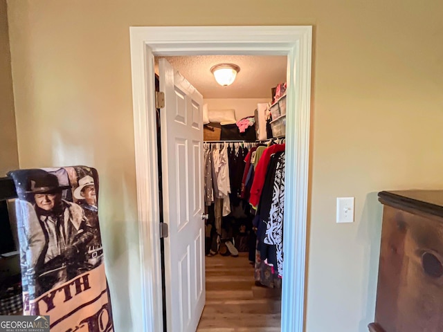 6830 Peeksville Rd, Mcdonough, GA 30252 - spacious closet featuring wood finished floors