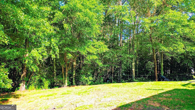 6830 Peeksville Rd, Mcdonough, GA 30252 - view of grassy yard with a wooded view