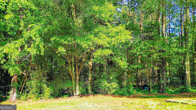 6830 Peeksville Rd, Mcdonough, GA 30252 - view of woods