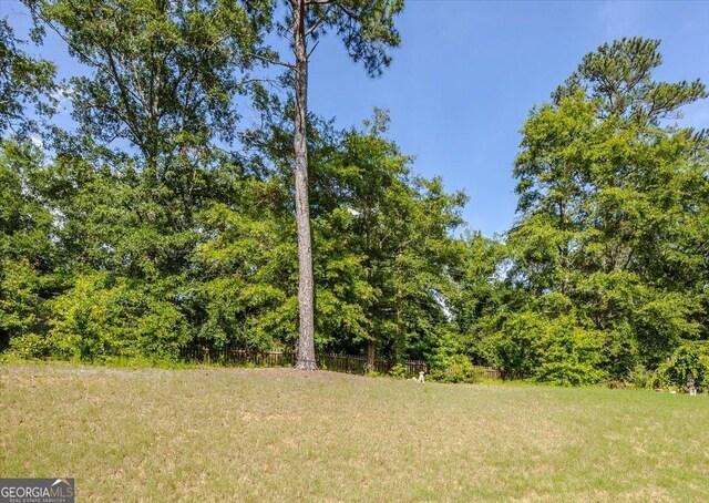 161 Presidents Way, Forsyth, GA 31029 - view of green lawn