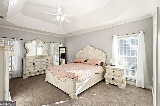 2977 William Few Pkwy, Evans, GA 30809 - bedroom featuring a tray ceiling, carpet flooring, multiple windows, and ornamental molding