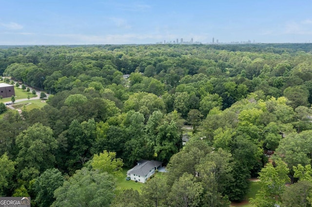 2343 Dawn Dr, Decatur, GA 30032 - bird's eye view of a forest