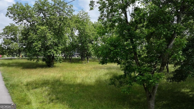 0 Idlewood Acres, Hartwell, GA 30643 - view of undeveloped land