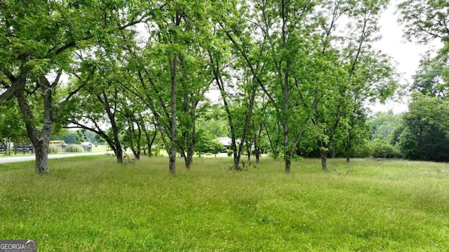 0 Idlewood Acres, Hartwell, GA 30643 - view of yard