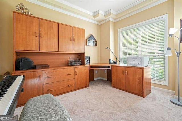2004 Spicers Ln, Woodstock, GA 30189 - office featuring plenty of natural light, light colored carpet, and crown molding