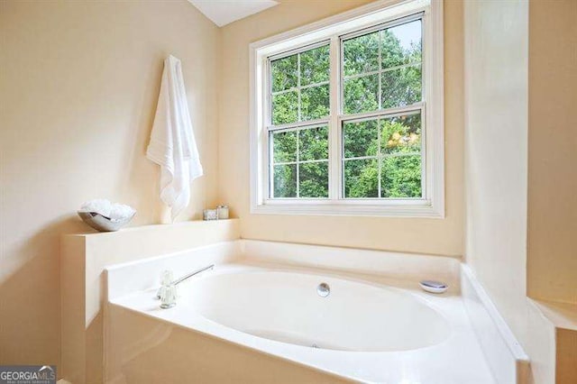 2004 Spicers Ln, Woodstock, GA 30189 - bathroom featuring healthy amount of natural light and a garden tub