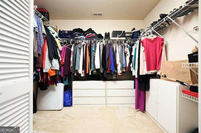 2004 Spicers Ln, Woodstock, GA 30189 - spacious closet with carpet floors