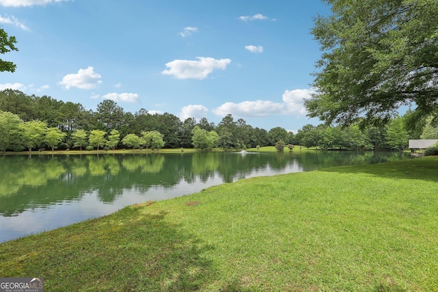 3612 Bill Gardner Pkwy, Locust Grove, GA 30248 - water view featuring a heavily wooded area
