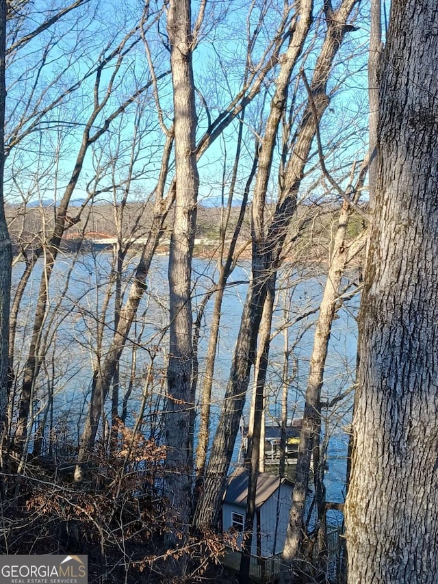 6224 Eagle Ct, Gainesville, GA 30506 - water view