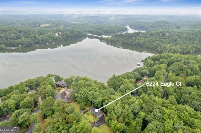 6224 Eagle Ct, Gainesville, GA 30506 - aerial view of property's location with a large body of water and property parcel outlined