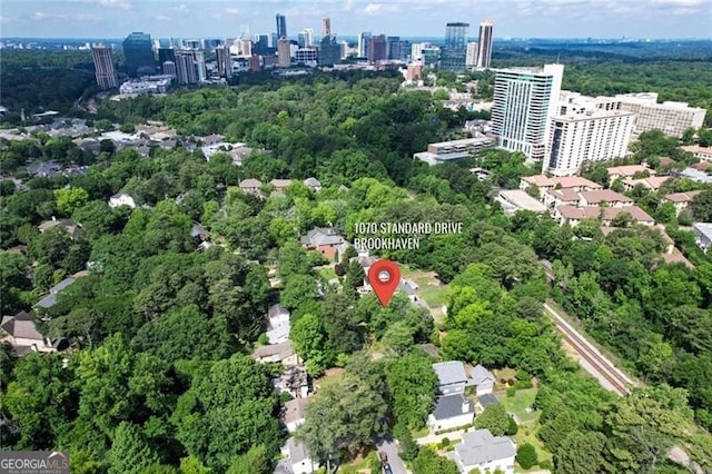 1070 Standard Dr NE, Brookhaven, GA 30319 - view of urban area