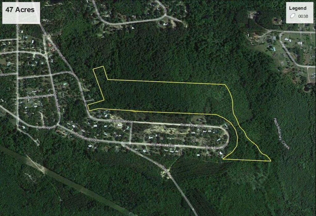 47/-ACRES Live Oak Ln, Blackshear, GA 31516