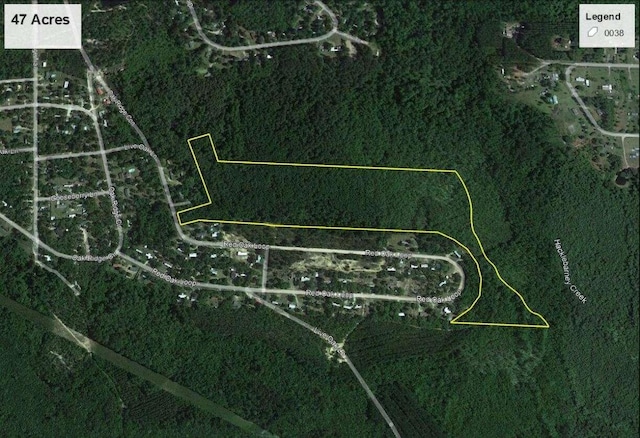 47/-ACRES Live Oak Ln, Blackshear, GA 31516