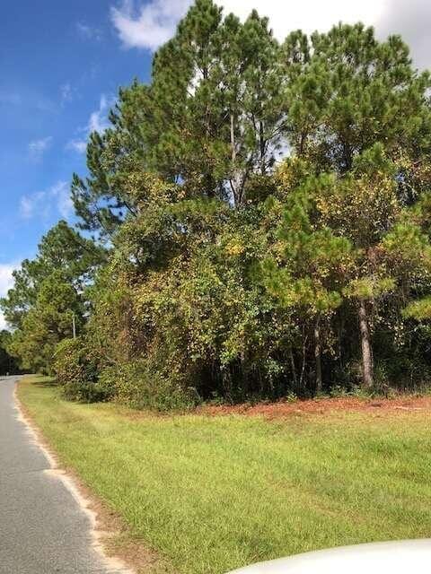 47/-ACRES Live Oak Ln, Blackshear, GA 31516