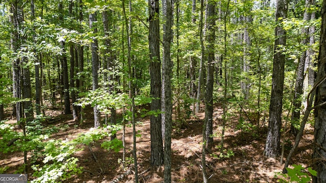 0 Thomas Powers Rd Unit 5.54/-, Acres, Newnan, GA 30263
