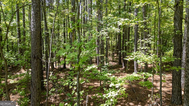 0 Thomas Powers Rd Unit 5.54/-, Acres, Newnan, GA 30263