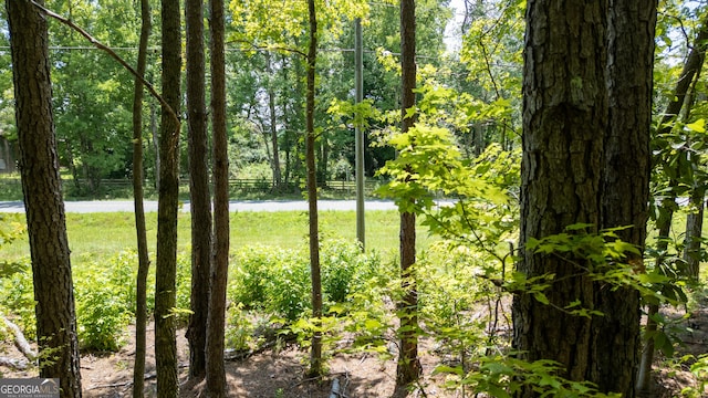 0 Thomas Powers Rd Unit 5.54/-, Acres, Newnan, GA 30263