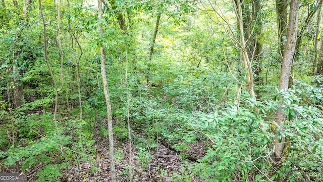 0 Thomas Powers Rd Unit 5.54/-, Acres, Newnan, GA 30263
